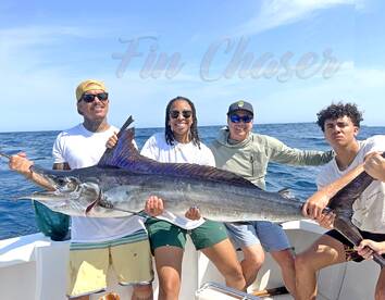Cabo San Lucas Report Photo 2