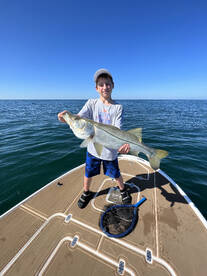 Big snook