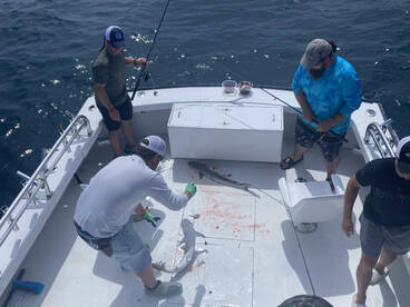 Nags Head Report Photo 1