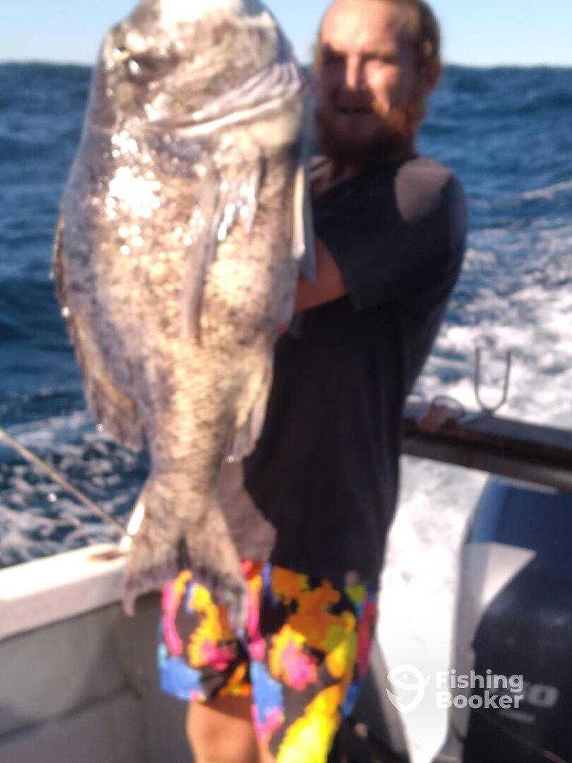 Shelly Beach Report Photo 0
