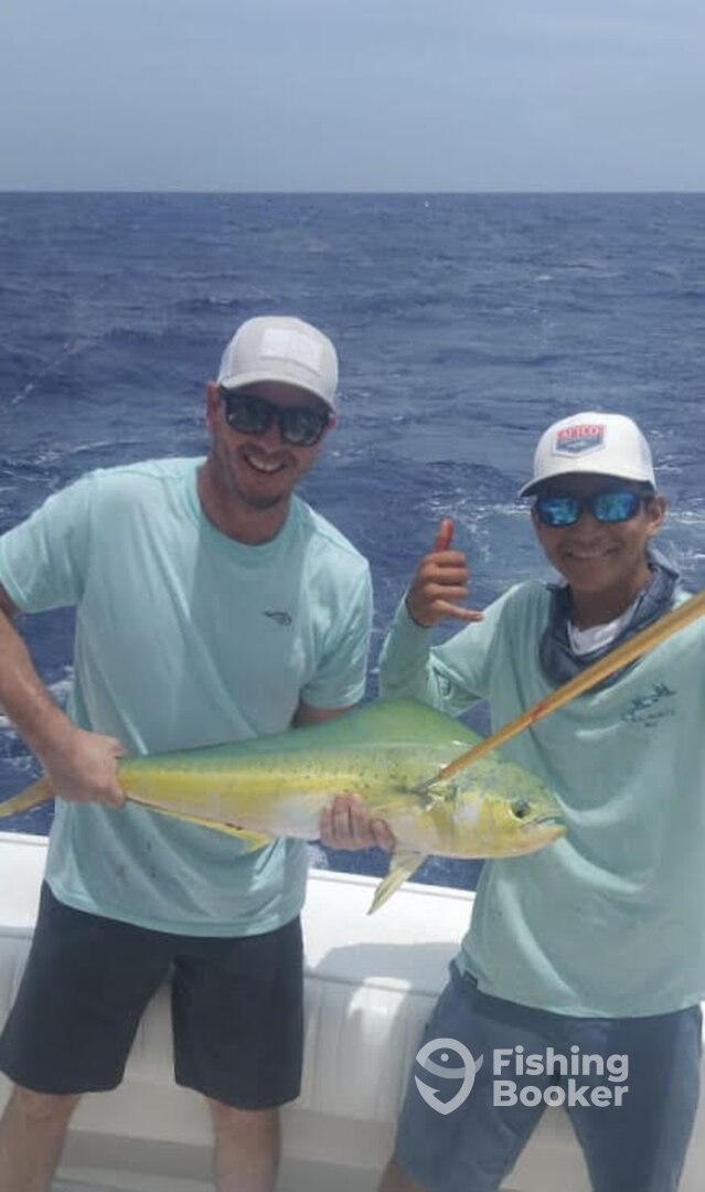 Puerto Aventuras Report Photo 0