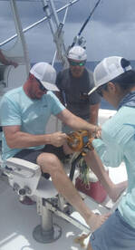 Puerto Aventuras Report Photo 1