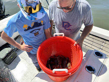 Crabbing in Ocean City’s Back Bay