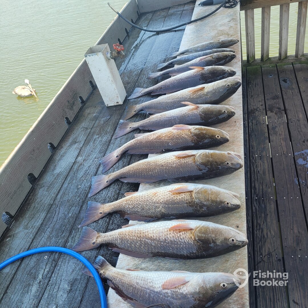 Rockport Report Photo 0