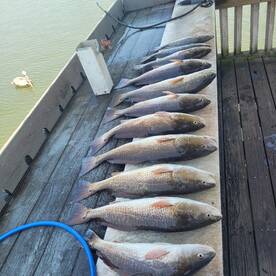 Good bite this morning. 