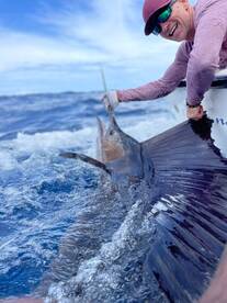 SAILFISH & TUNA