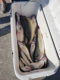 Lorain Report Photo 2
