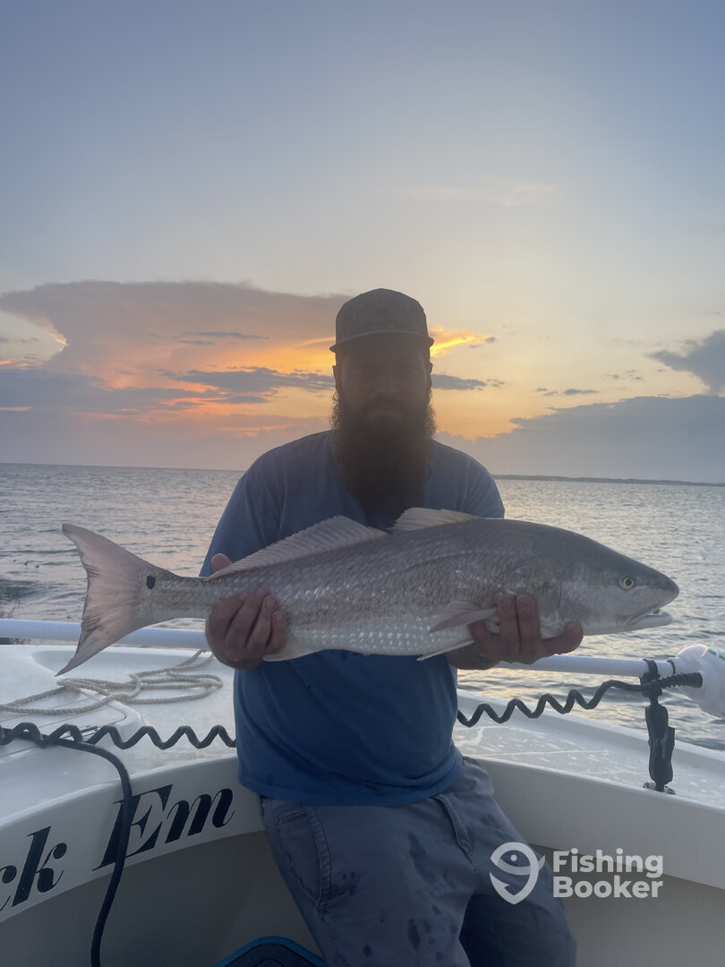 Wanchese Report Photo 0