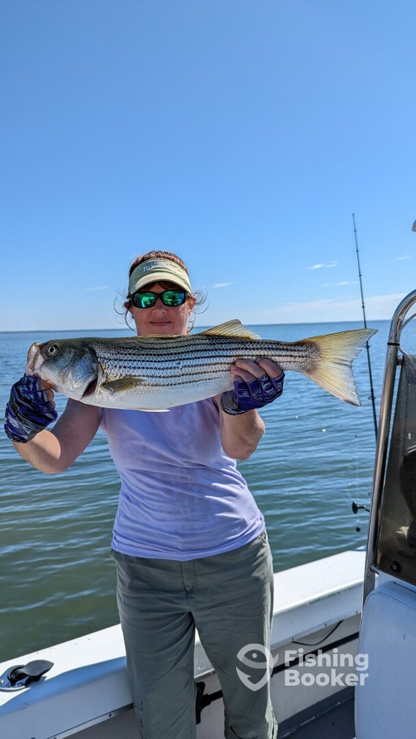 Crisfield Report Photo 0