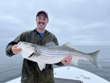 Dennis Report Photo 1