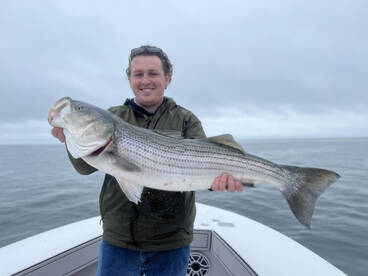 Dennis Report Photo 2