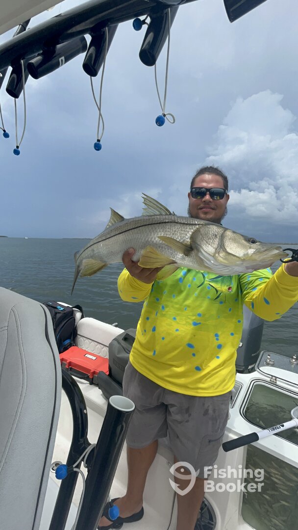 Cape Coral Report Photo 0
