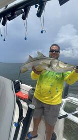 Snook everywhere!! 