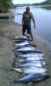 We've been catching!