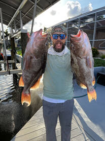 Near shore red grouper they are hungry! 