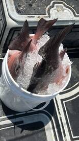 Port Canaveral Report Photo 1