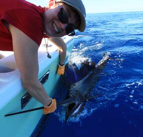 Quepos Report Photo 1