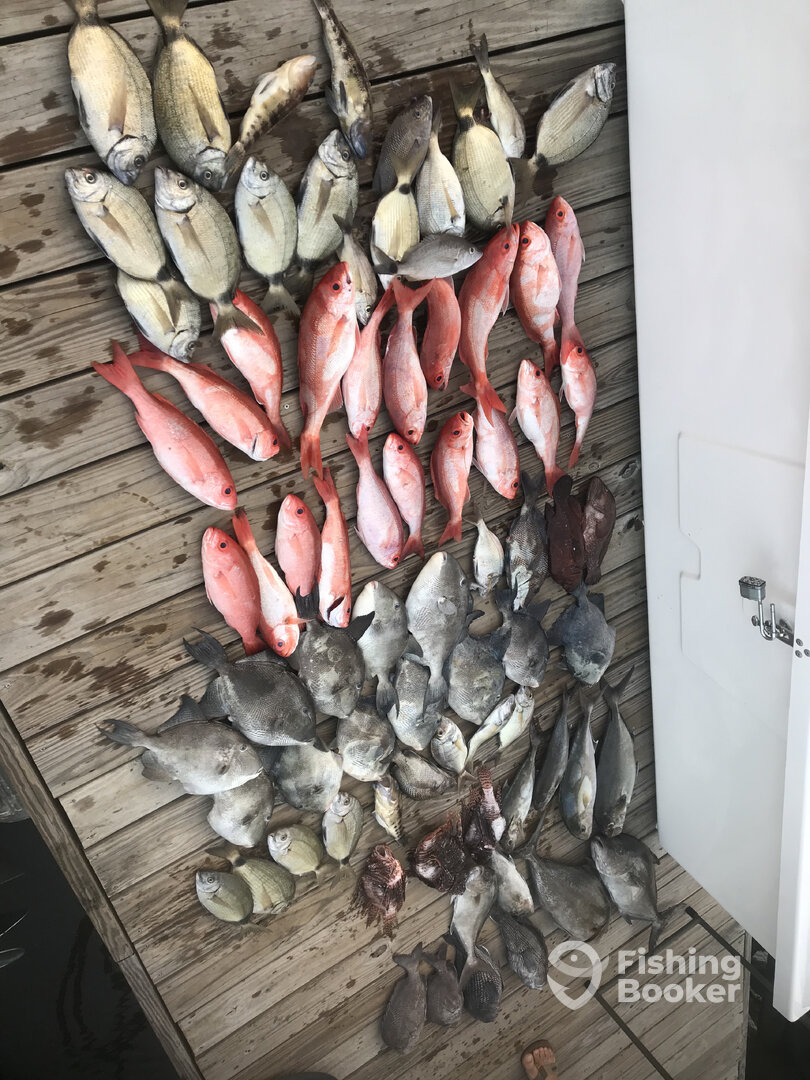 North Myrtle Beach Report Photo 0