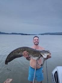 Laye night catfish catch ?