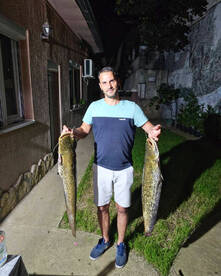 Belgrade Report Photo 2