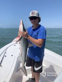 SHARK WEEK CAME EARLY!