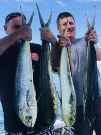 Coral Coast Report Photo 3