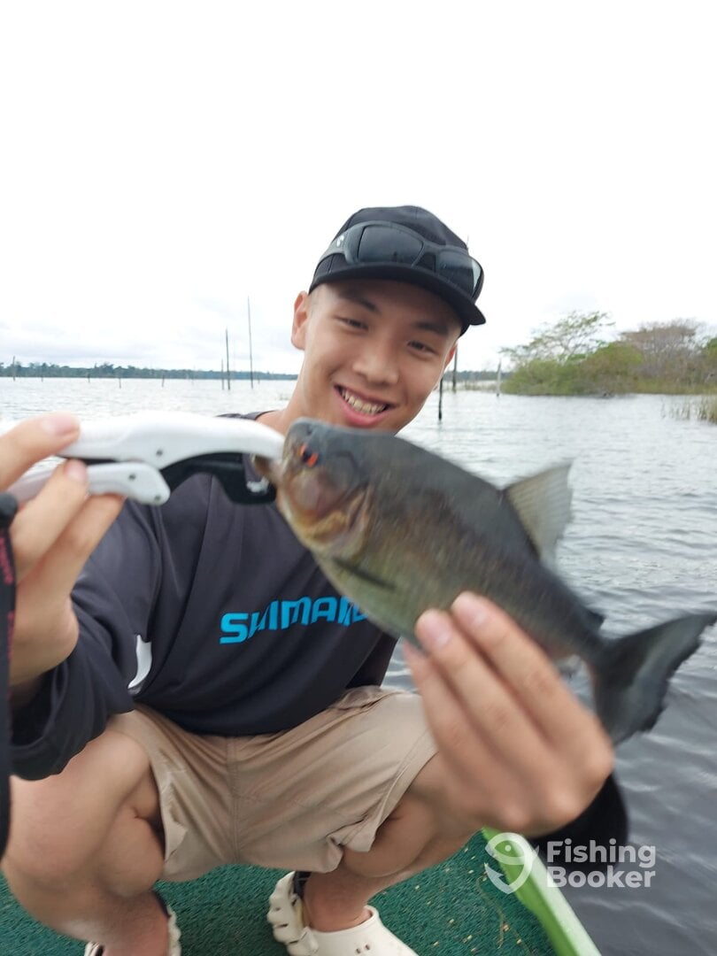 Manaus Report Photo 0