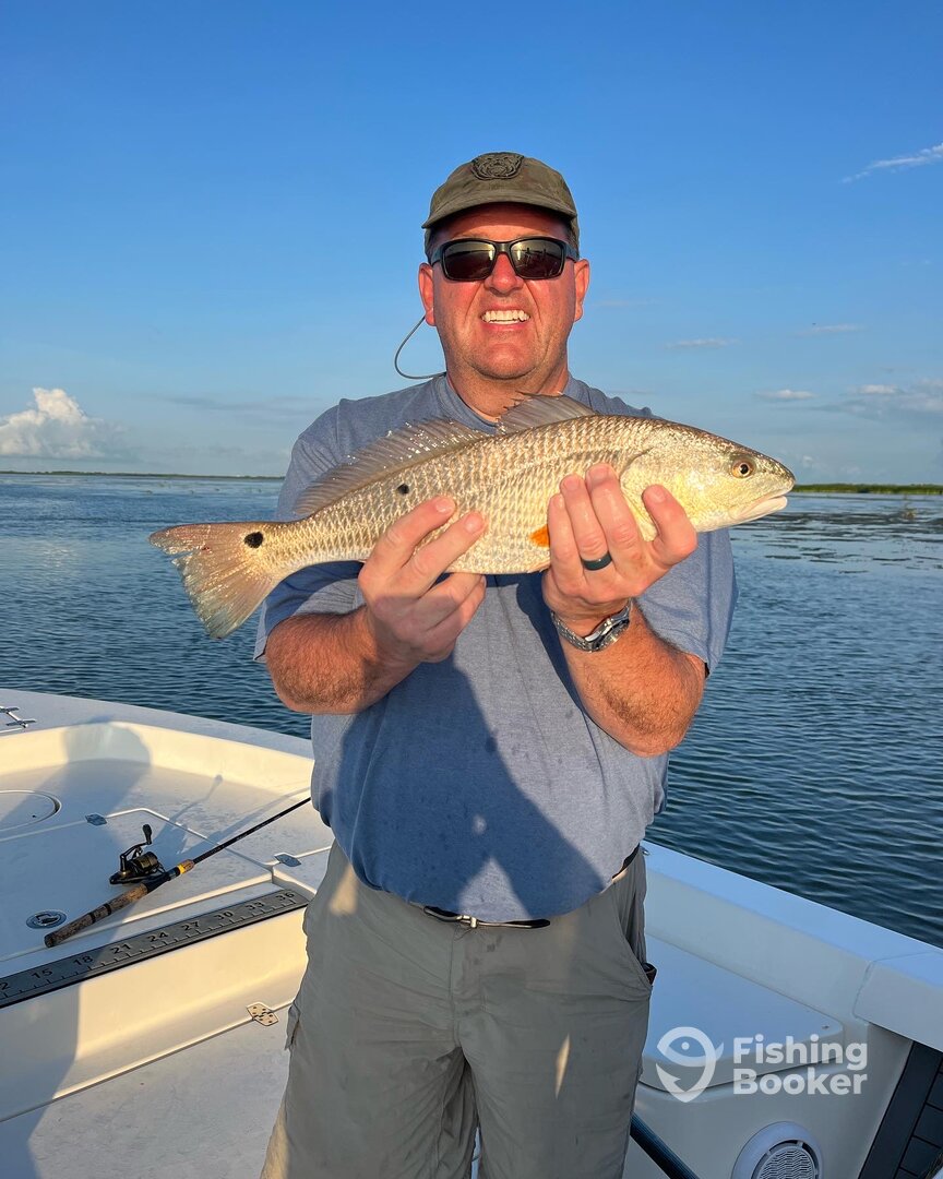 Venice Report Photo 0