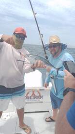 San Jose del Cabo Report Photo 2