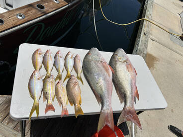 Stock Island Report Photo 2