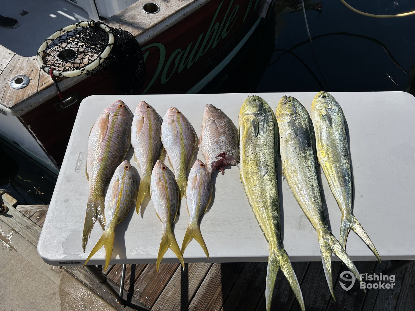Stock Island Report Photo 0