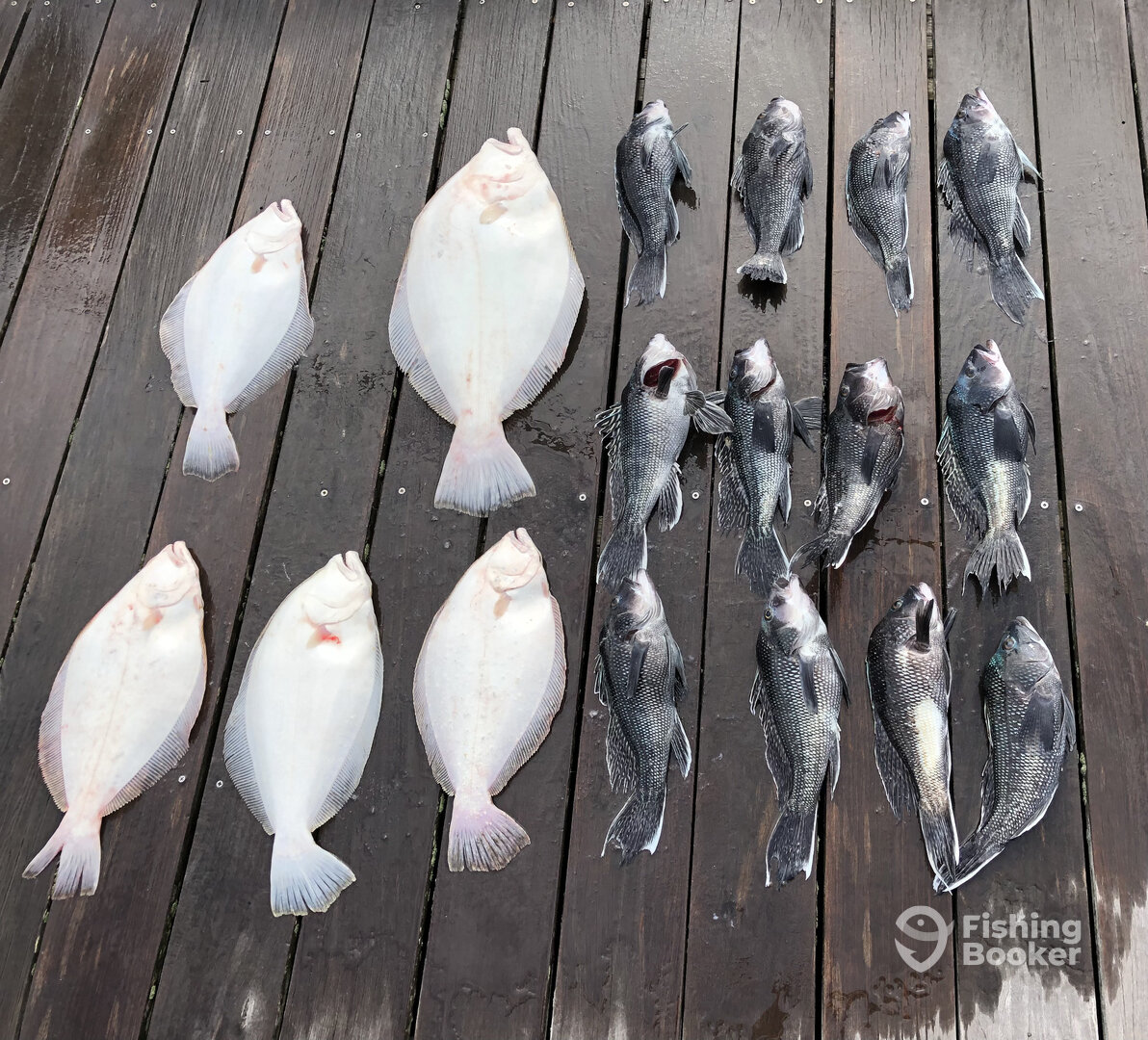 Rehoboth Beach Report Photo 0
