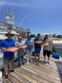 Pensacola Report Photo 1