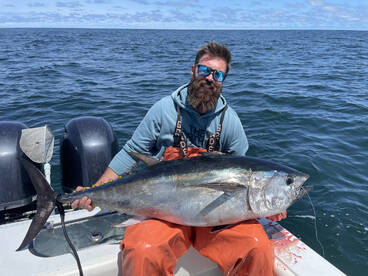 Bluefin are biting