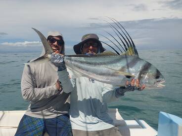 another great half day today with 2 soli