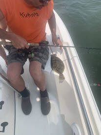 Ocean City Report Photo 1