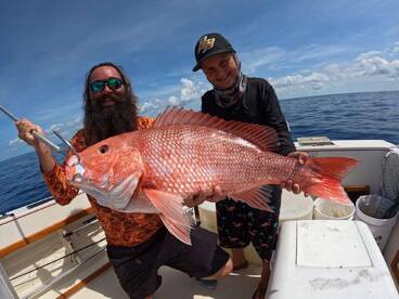 Snapper Spawn