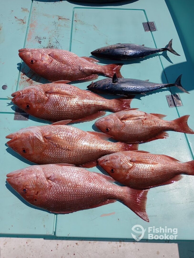 Destin Report Photo 0