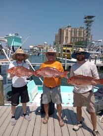 Destin Report Photo 2