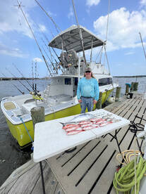 Vermillion Snapper are Chewing !