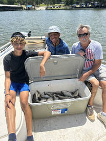 Just filling the freezer????