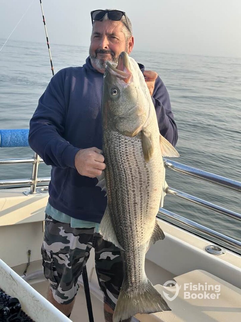 Montauk Report Photo 0