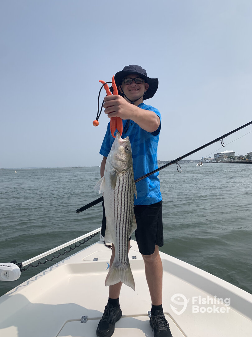 Ocean City Report Photo 0