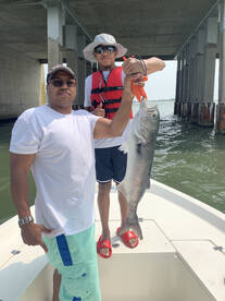 Ocean City Report Photo 1