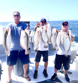 Montauk Report Photo 2