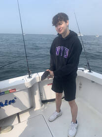 New York City Report Photo 2