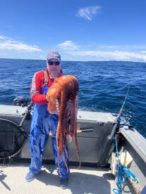 Sea monsters