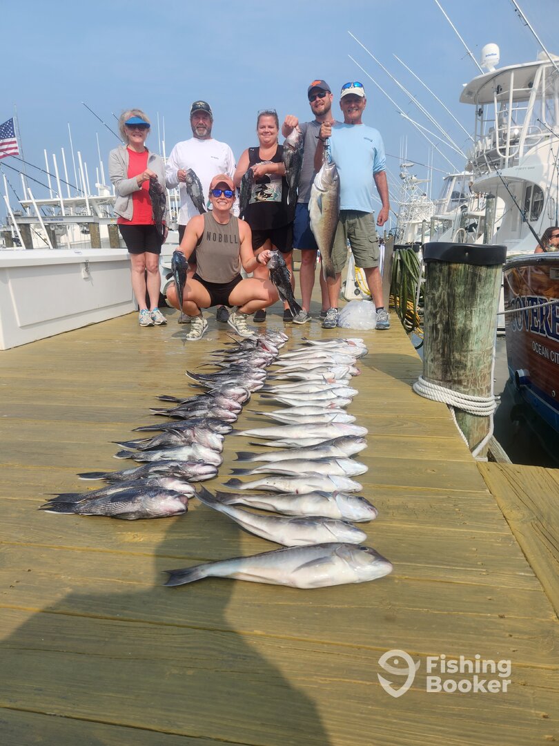 Ocean City Report Photo 0