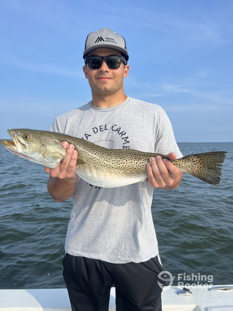 Manteo Report Photo 0