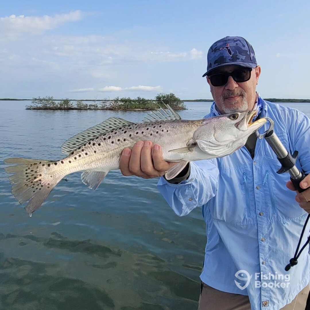 New Smyrna Beach Report Photo 0
